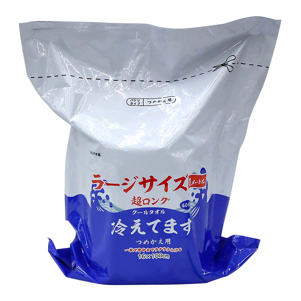 ラージサイズ冷えてます 詰め替え用　4870