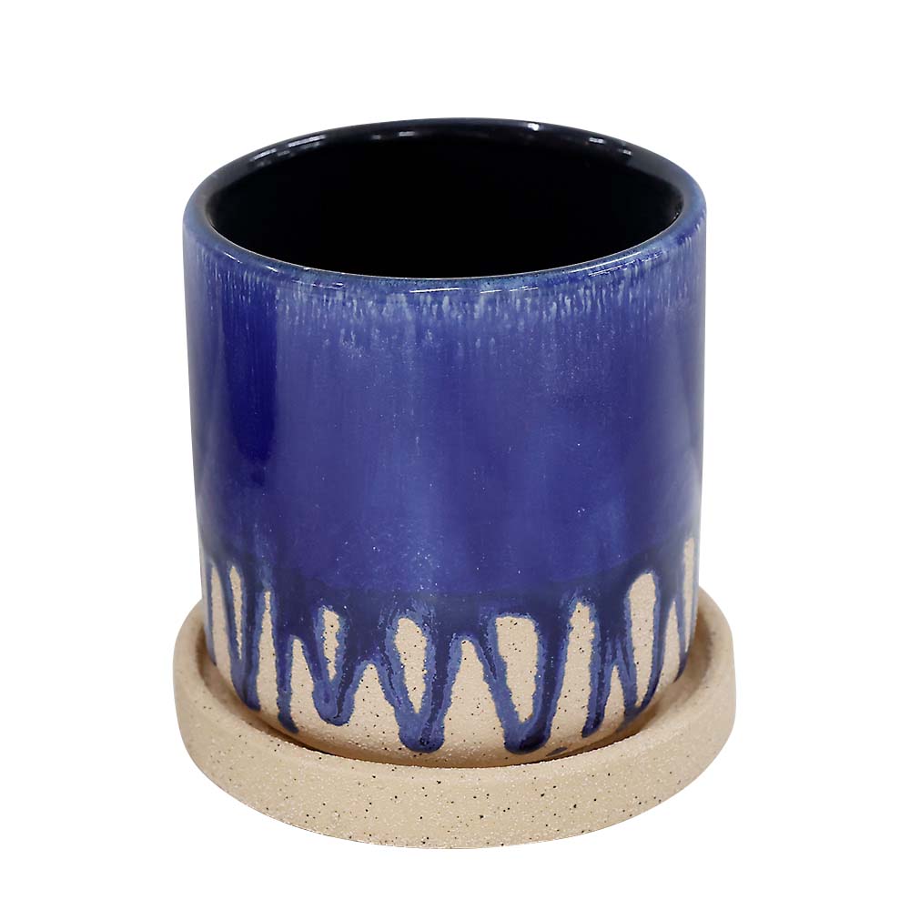 パル　ブルー　９．５ｃｍ