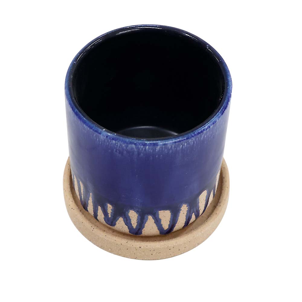 パル　ブルー　９．５ｃｍ