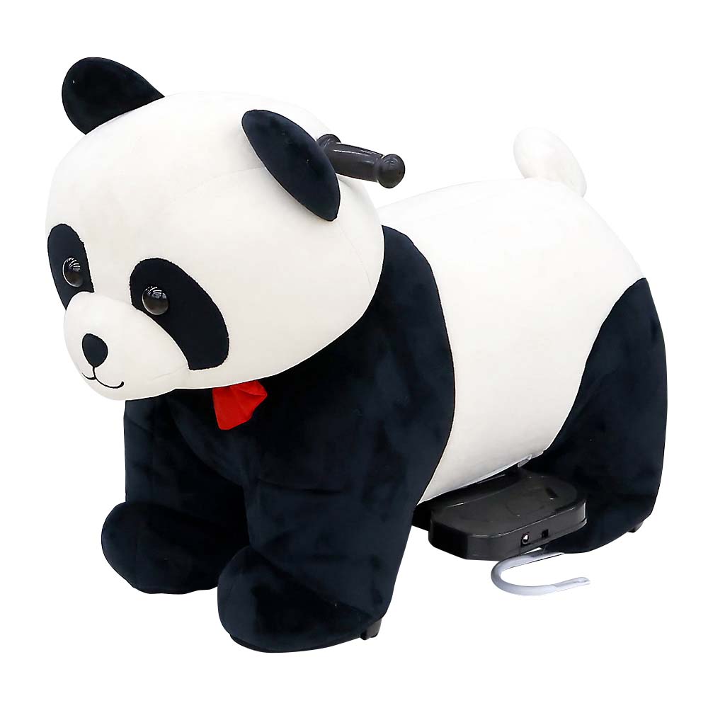 デンドウジョウヨウ　パンダ　クロ