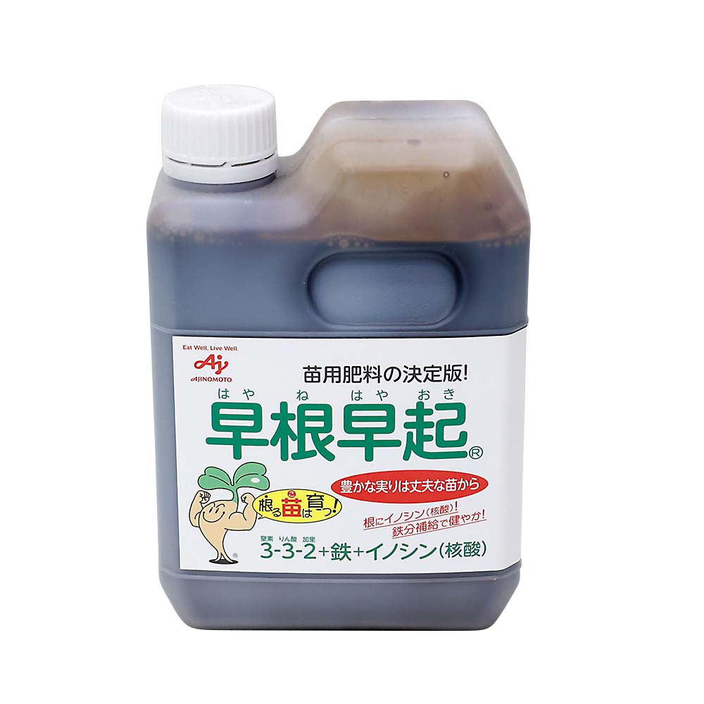 早根早起　３－３－２　１．２ｋｇ