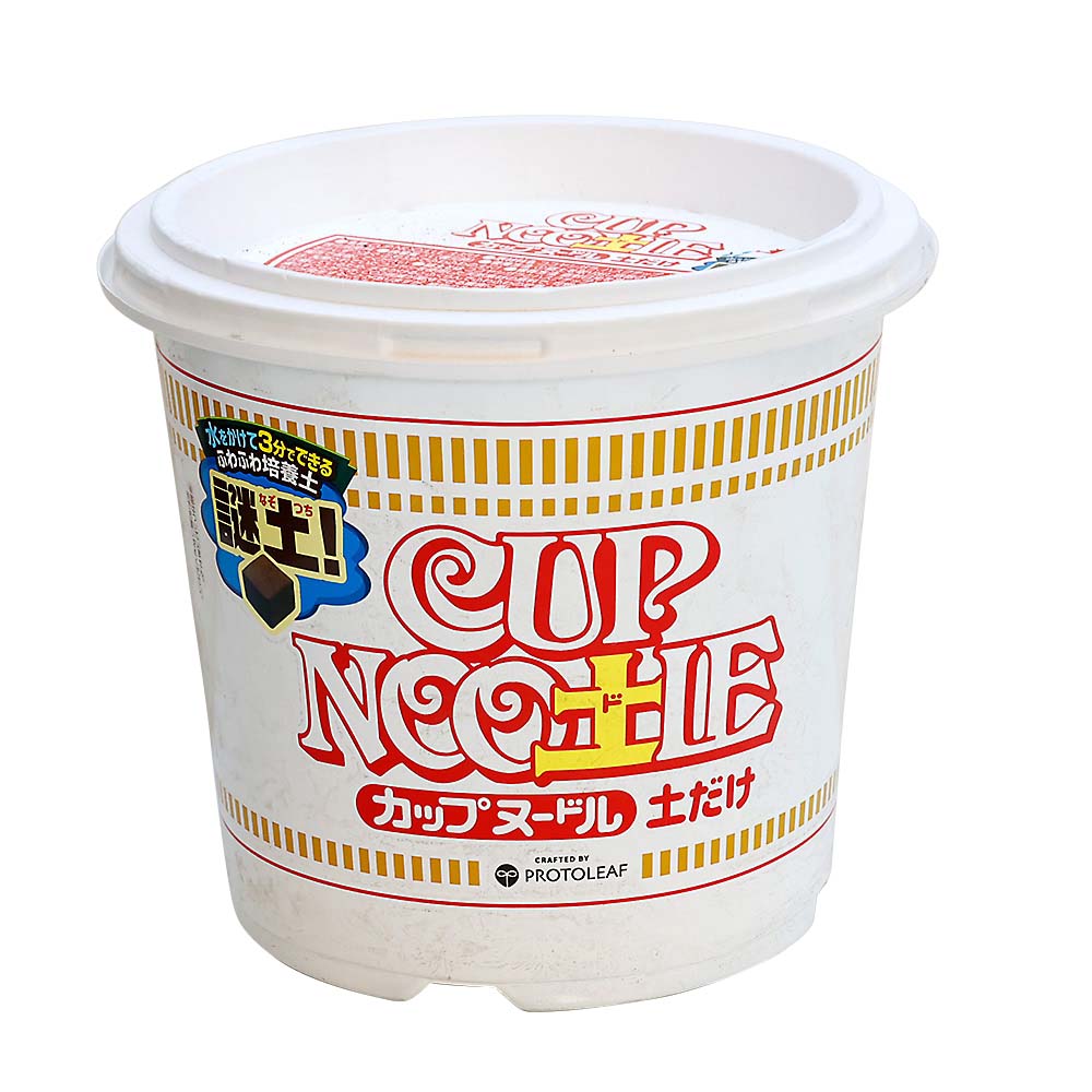 カップヌー土ル　5L