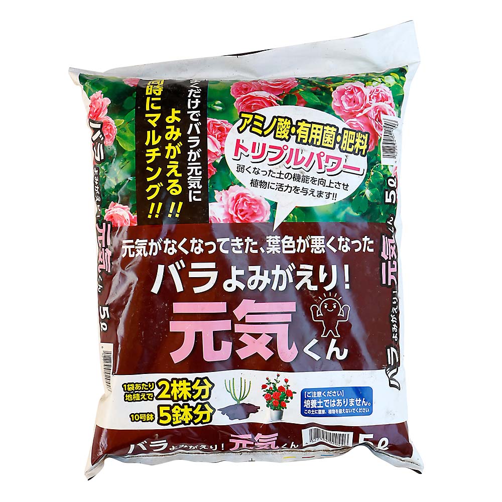 バラよみがえり元気くん 5L