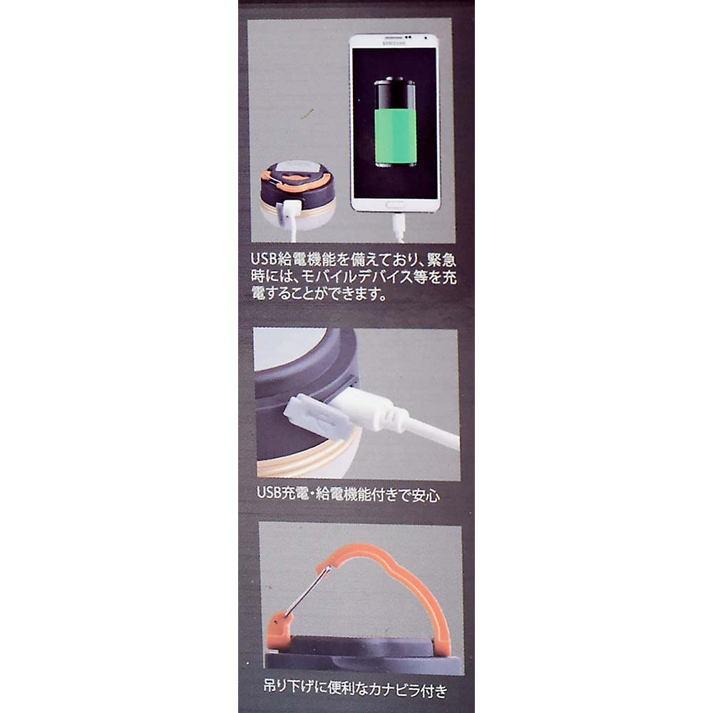 充電式ミニライト　ＧＭ－ＴＬ２１２