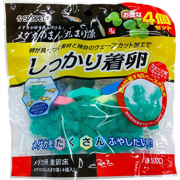 フェア スドー メダカのまん丸まり藻(4個入)