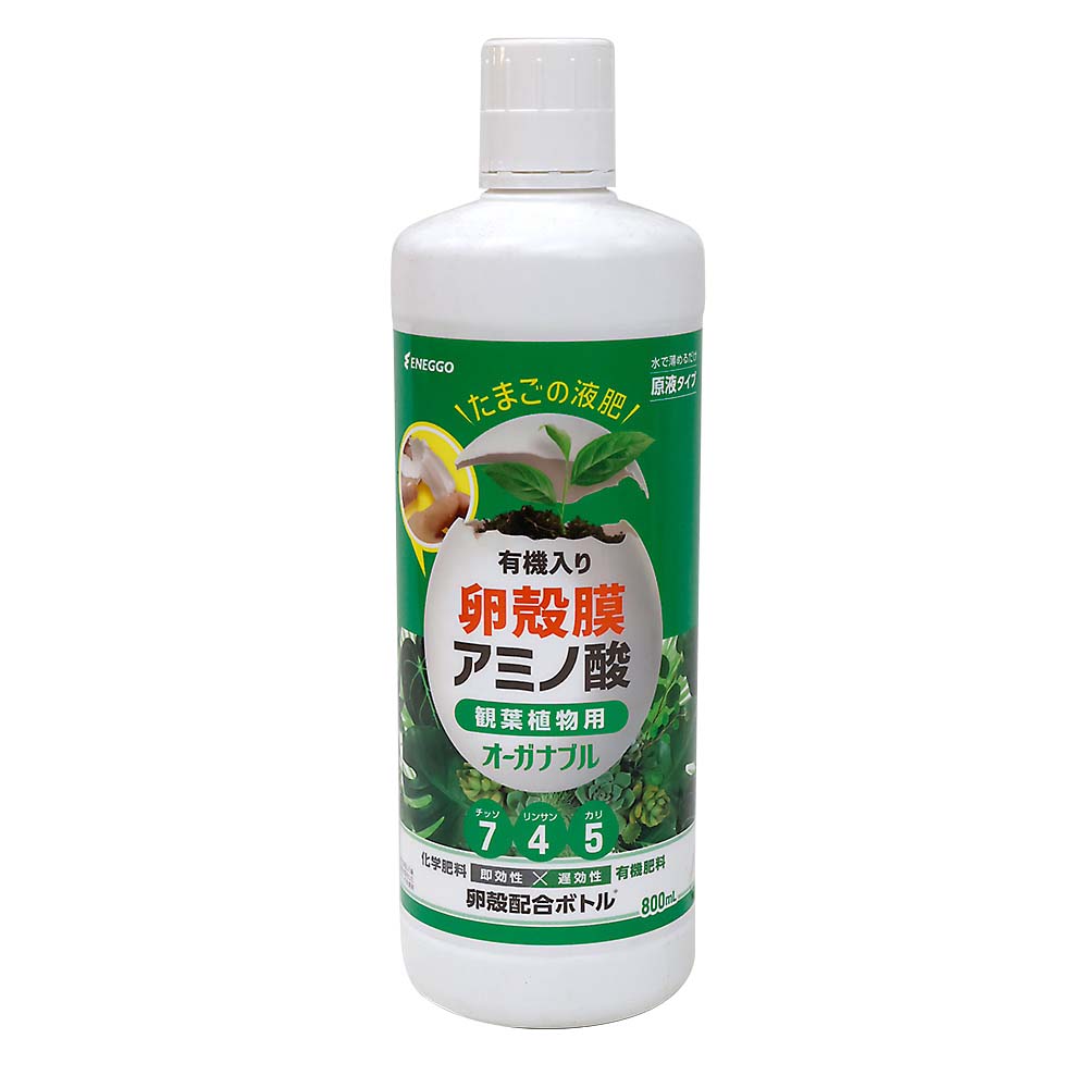 オーガナブル　観葉植物　８００ml　８００ml