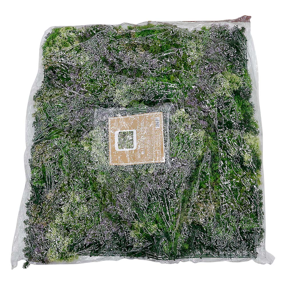 ボタニカルフェンス　サデーン　１００ｘ１００ｃｍ