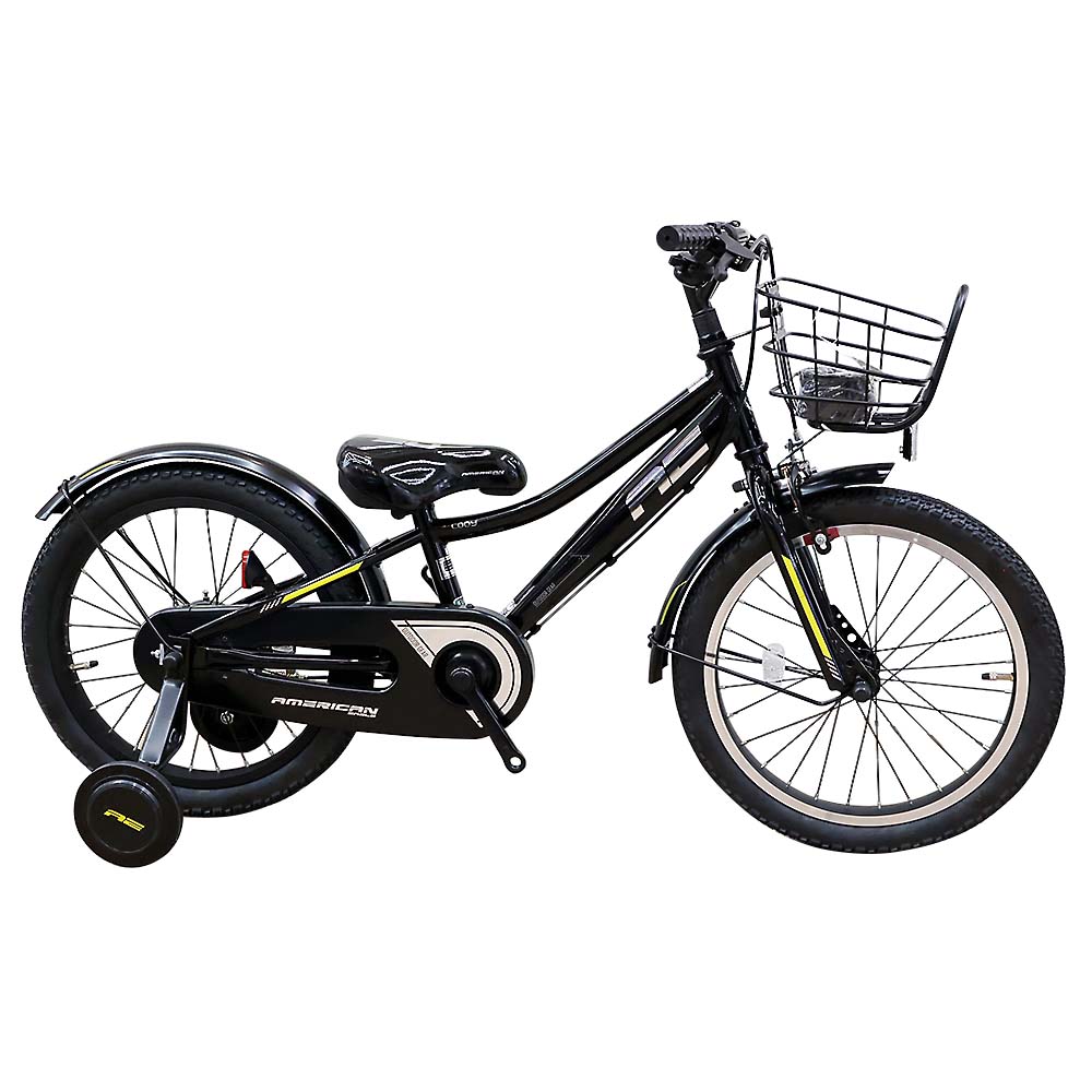 ２４　ＡＥ　ＢＭＸ　ＣＯＤＹ　１８　ＢＫ　１８型