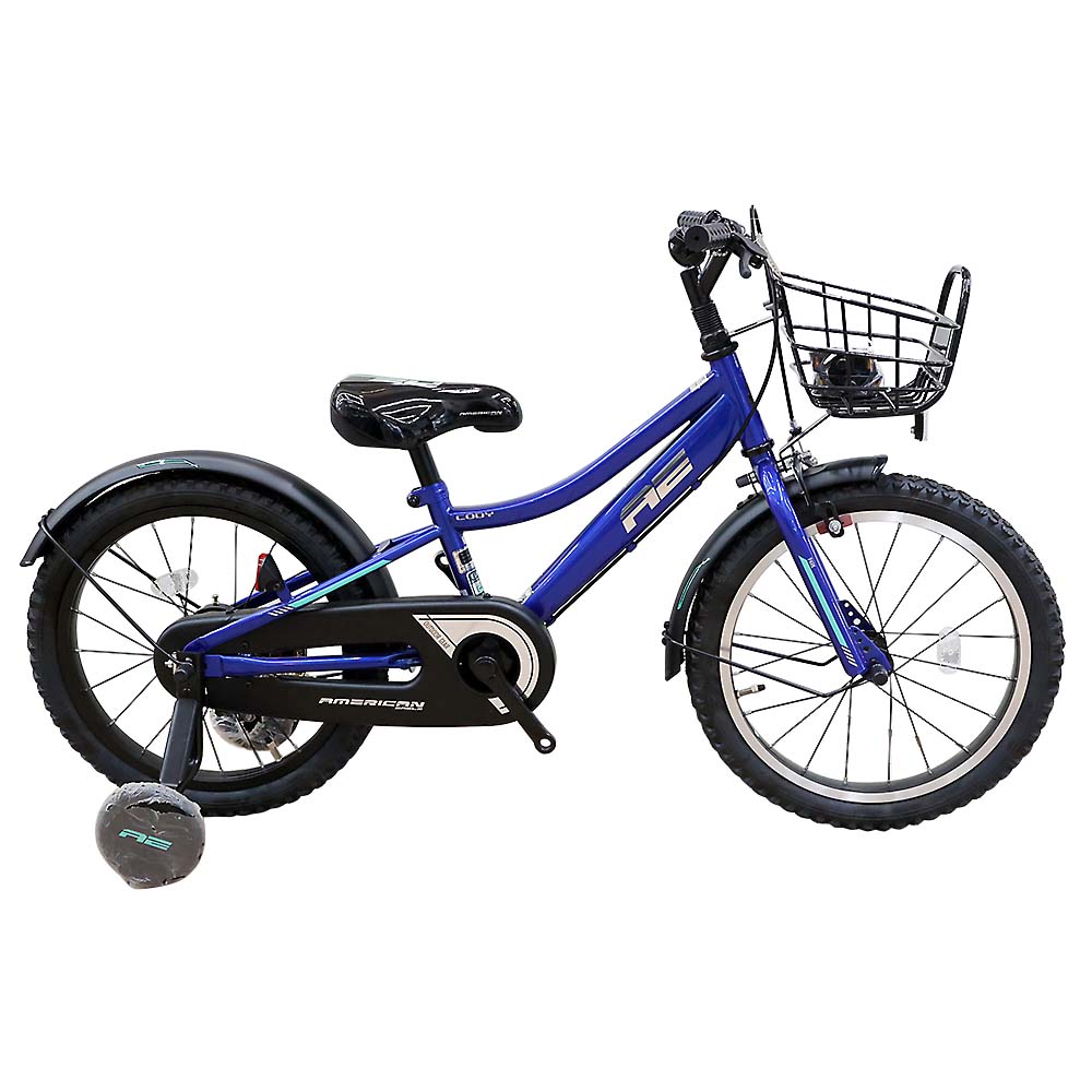 ２４　ＡＥ　ＢＭＸ　ＣＯＤＹ　１８　ＢＬ　１８型