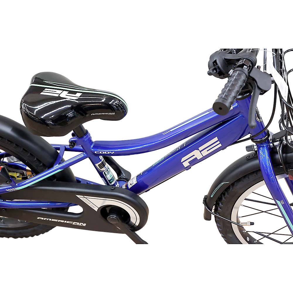 ２４　ＡＥ　ＢＭＸ　ＣＯＤＹ　１８　ＢＬ　１８型
