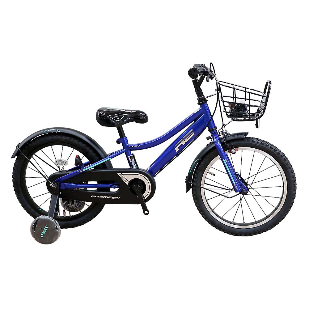 ２４　ＡＥ　ＢＭＸ　ＣＯＤＹ　１６　ＢＬ　１６型