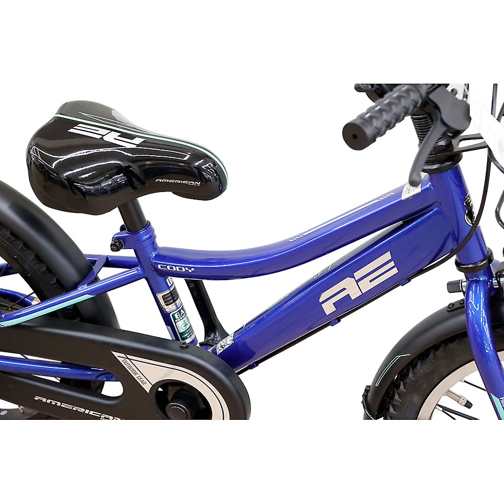 ２４　ＡＥ　ＢＭＸ　ＣＯＤＹ　１６　ＢＬ　１６型