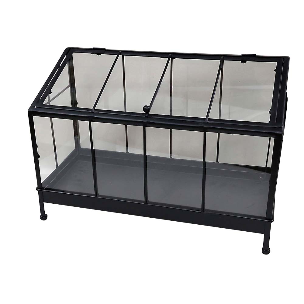 コレクションケース　ｂｌａｃｋ　Ｌ６７Ｍ２０２３００４８Ｓ