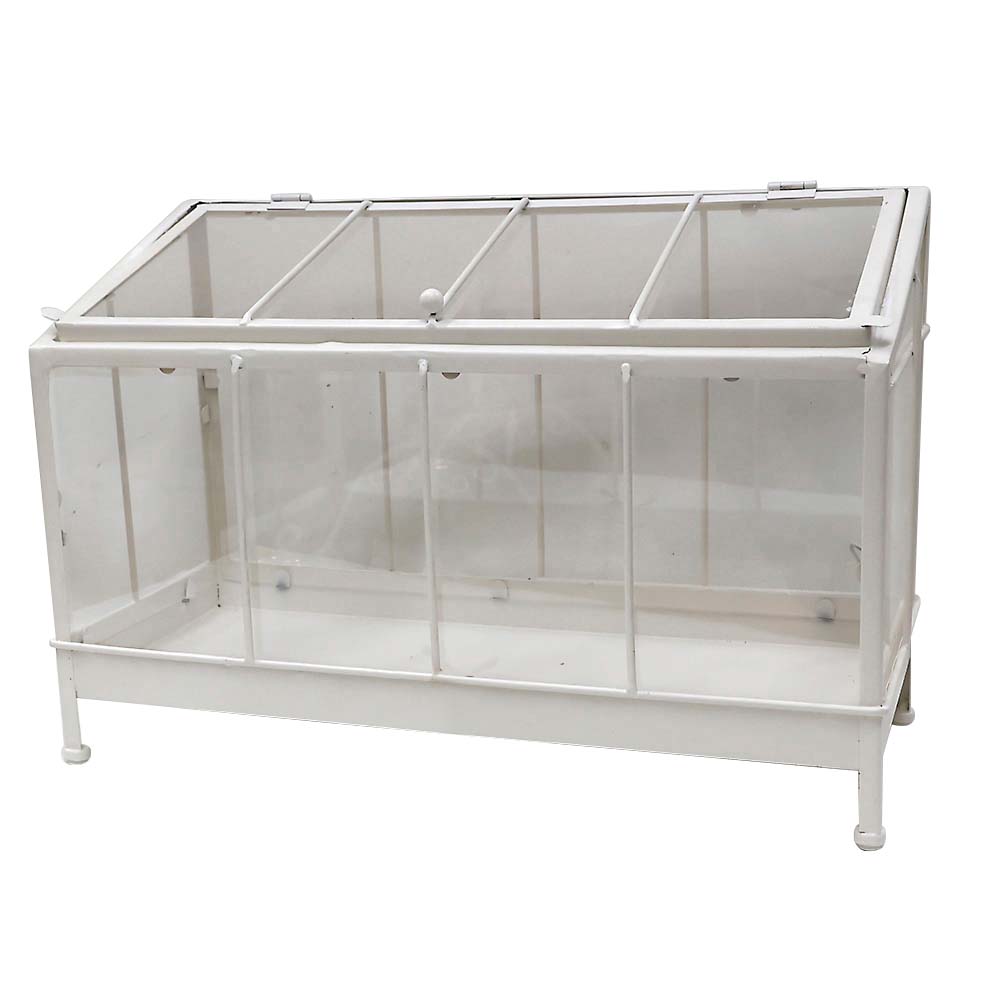 コレクションケース　ｗｈｉｔｅ　Ｌ６７Ｍ２０２３００４８Ｓ