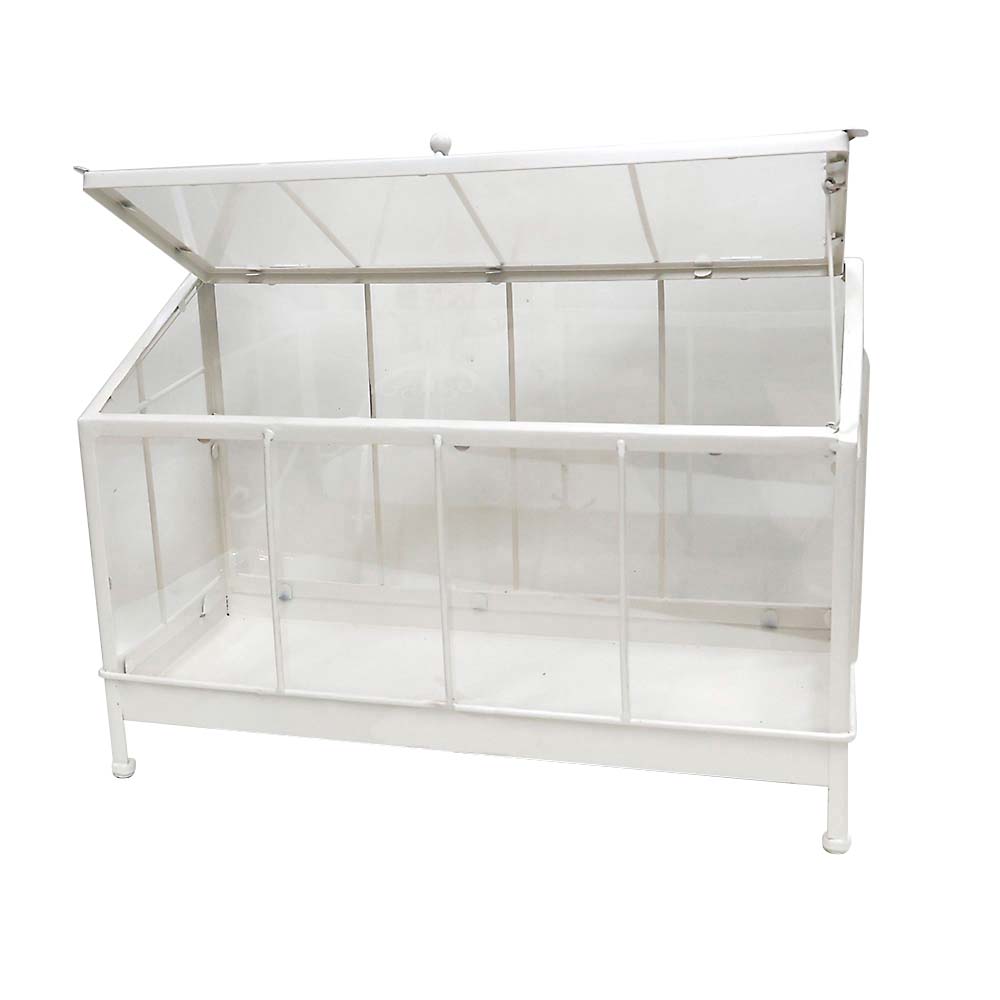 コレクションケース　ｗｈｉｔｅ　Ｌ６７Ｍ２０２３００４８Ｓ
