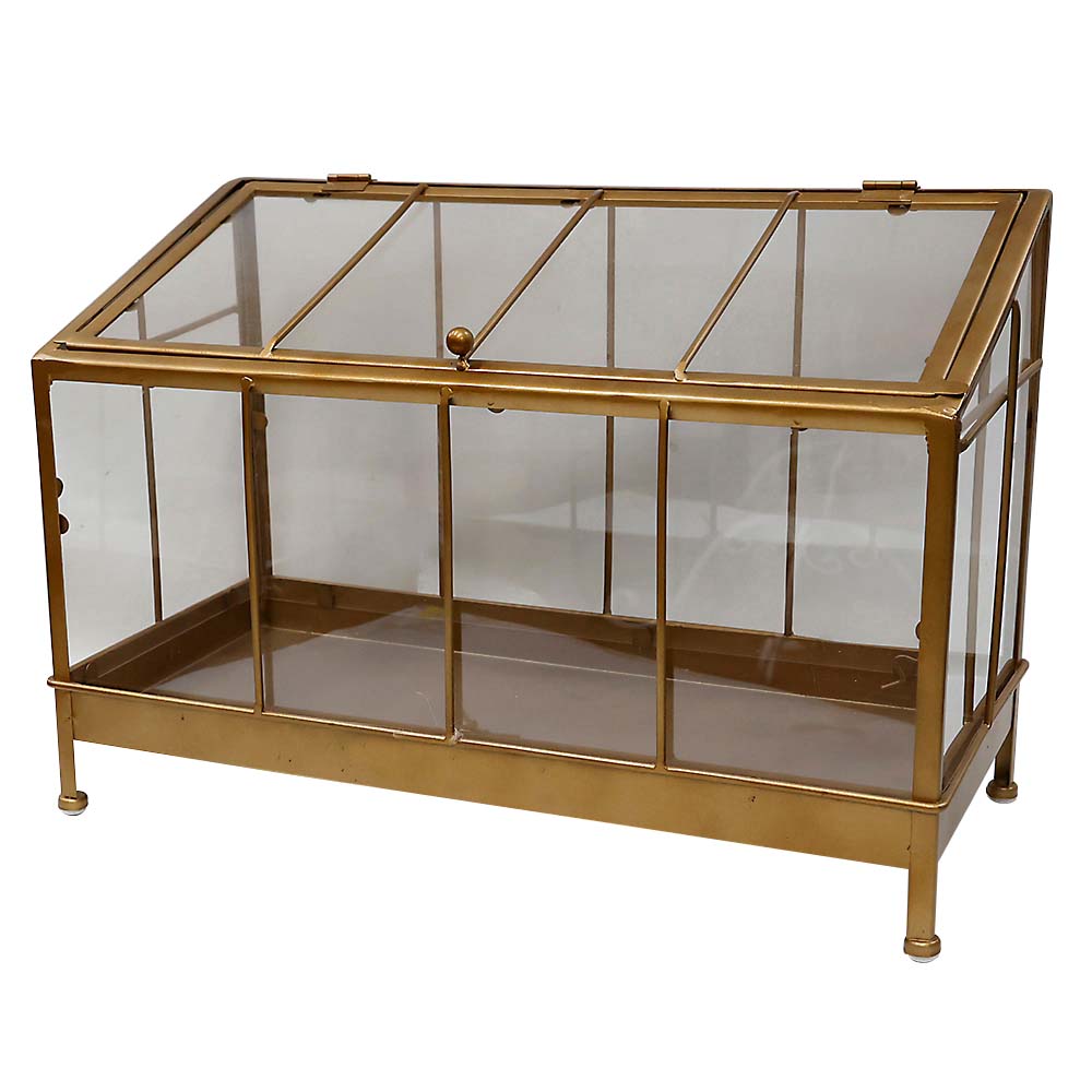 コレクションケース　ｇｏｌｄ　Ｌ６７Ｍ２０２３００４８Ｓ