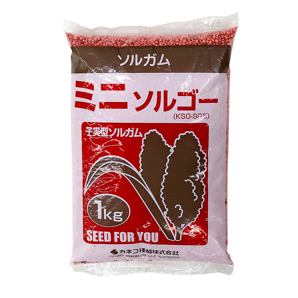 緑肥） ソルガム ミニソルゴー 1kg | ジョイフル本田 取り寄せ