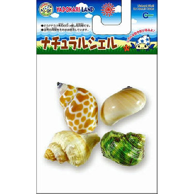 マルカン ナチュラルシェル　S 4個入り