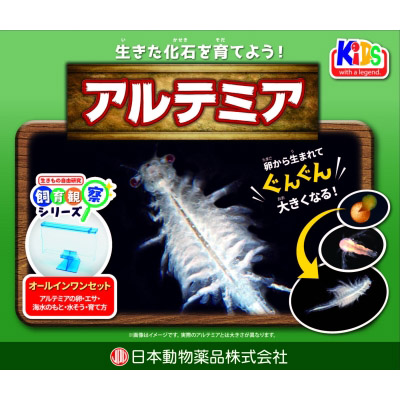 飼育観察セット　アルテミア　１個