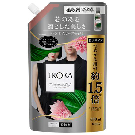 ＩＲＯＫＡハンサムリーフスパウト　６５０ml