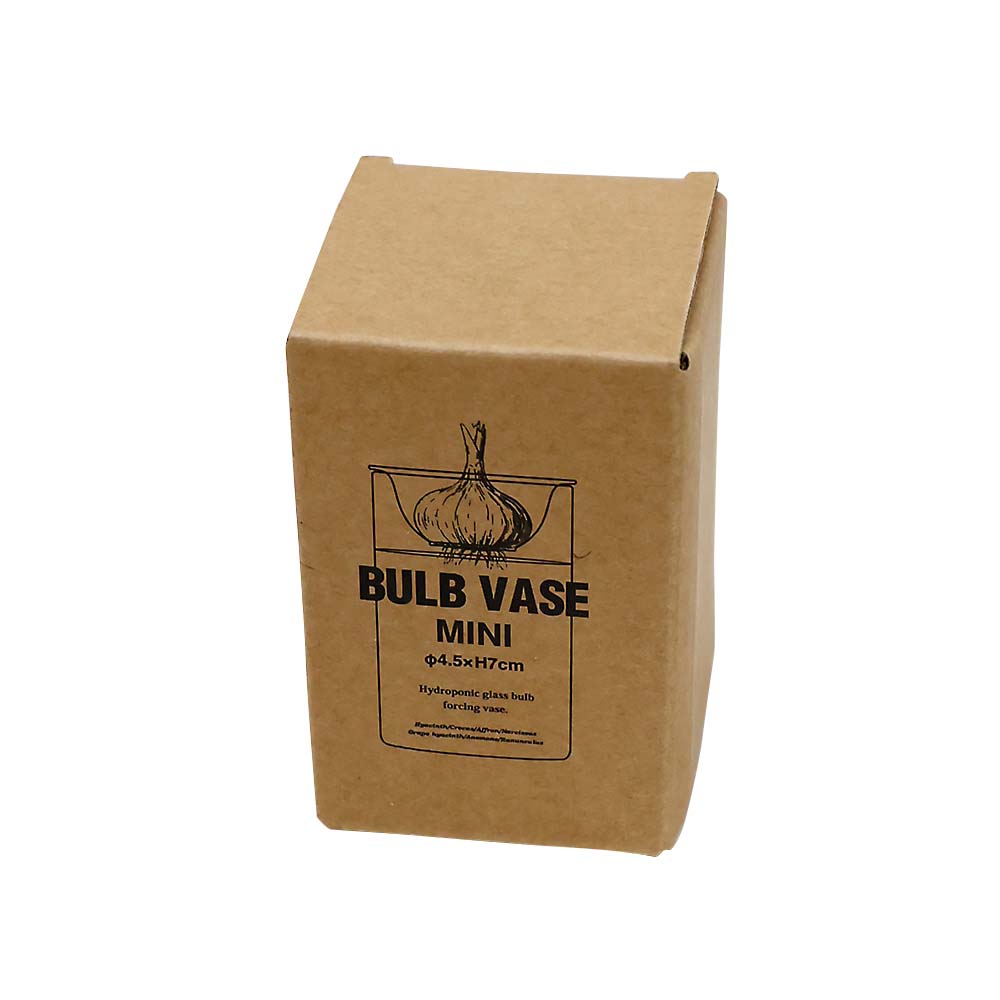 （６）ＭＩＮＩ　ＢＵＬＢ　ＶＡＳＥ　スイコウサイバイガラスベース　クリア　７ｃｍ