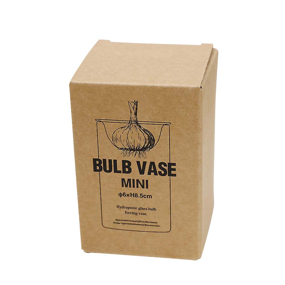（６）ＭＩＮＩ　ＢＵＬＢ　ＶＡＳＥ　スイコウサイバイガラスベース　クリア　８．５ｃｍ