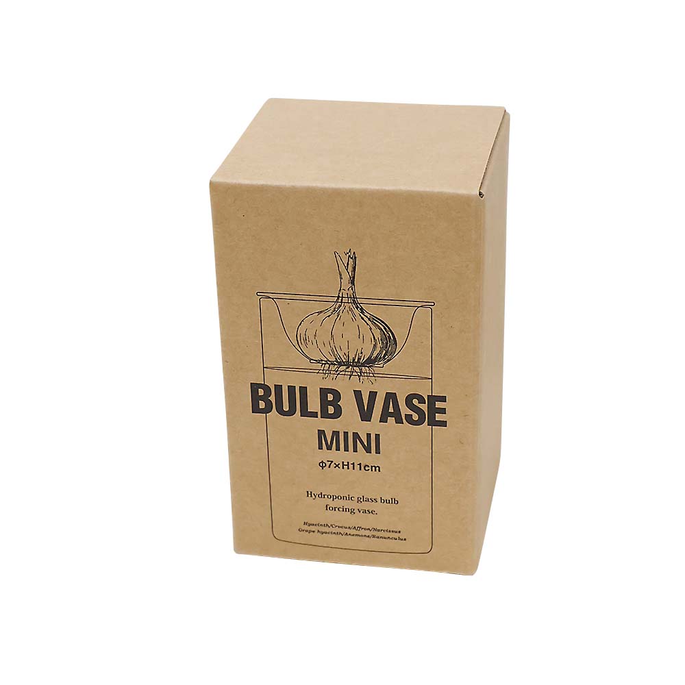 （６）ＭＩＮＩ　ＢＵＬＢ　ＶＡＳＥ　スイコウサイバイガラスベース　クリア　１１ｃｍ