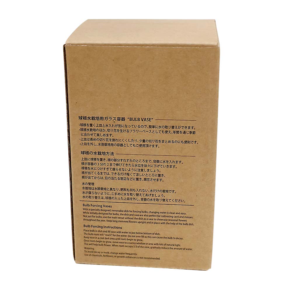 （６）ＭＩＮＩ　ＢＵＬＢ　ＶＡＳＥ　スイコウサイバイガラスベース　クリア　１１ｃｍ