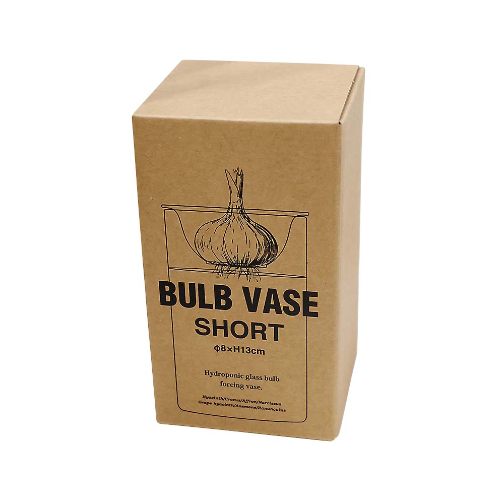 （４）ＢＵＬＢ　ＶＡＳＥ　スイコウサイバイガラスベース　クリア　ショート