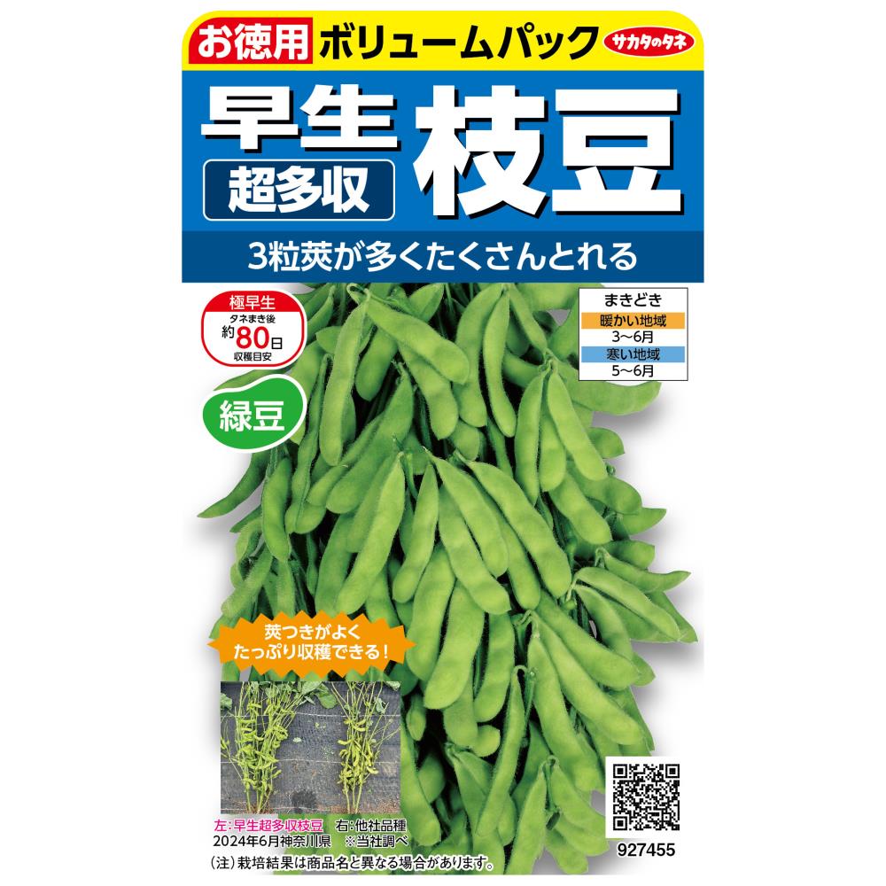 エダマメ＿早生超多収枝豆 春まき | ジョイフル本田 取り寄せ＆店舗受取