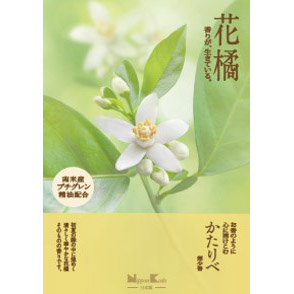 かたりべ花橘大型　２００ｇ