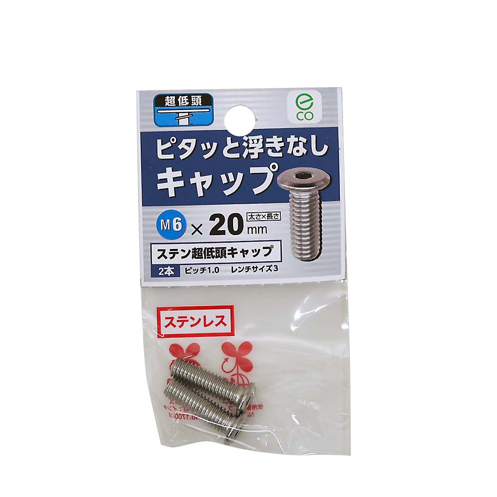 ステン超低頭キャップ6X20（2本入） 6X20 | ジョイフル本田