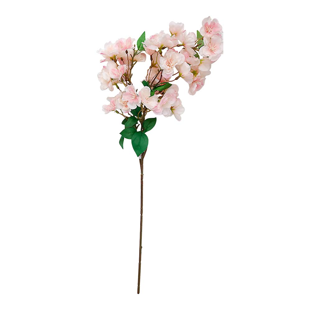 まつり山桜　ＰＩＮＫ　ＦＭ０００２４０