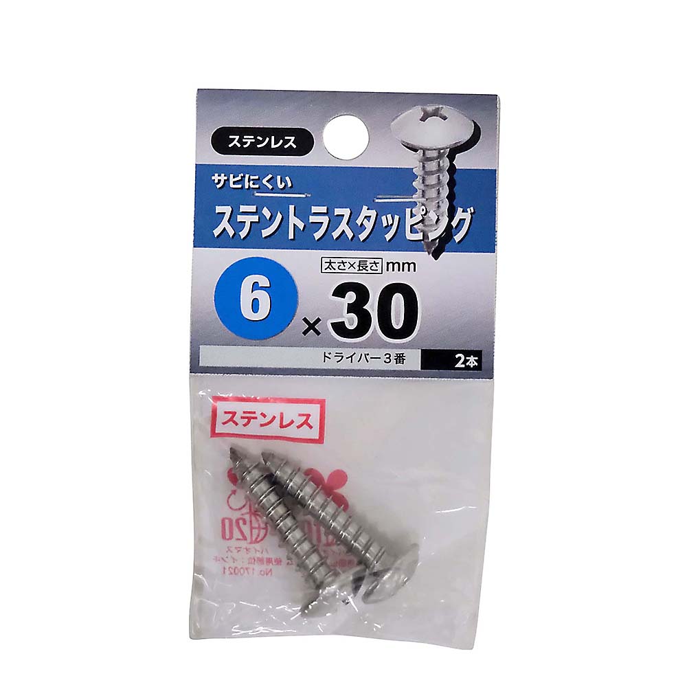 ステンレストラスタッピング　６Ｘ３０