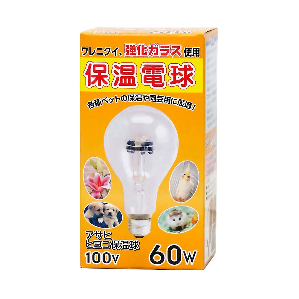 ヒヨコ保温球　１００Ｖ６０Ｗ