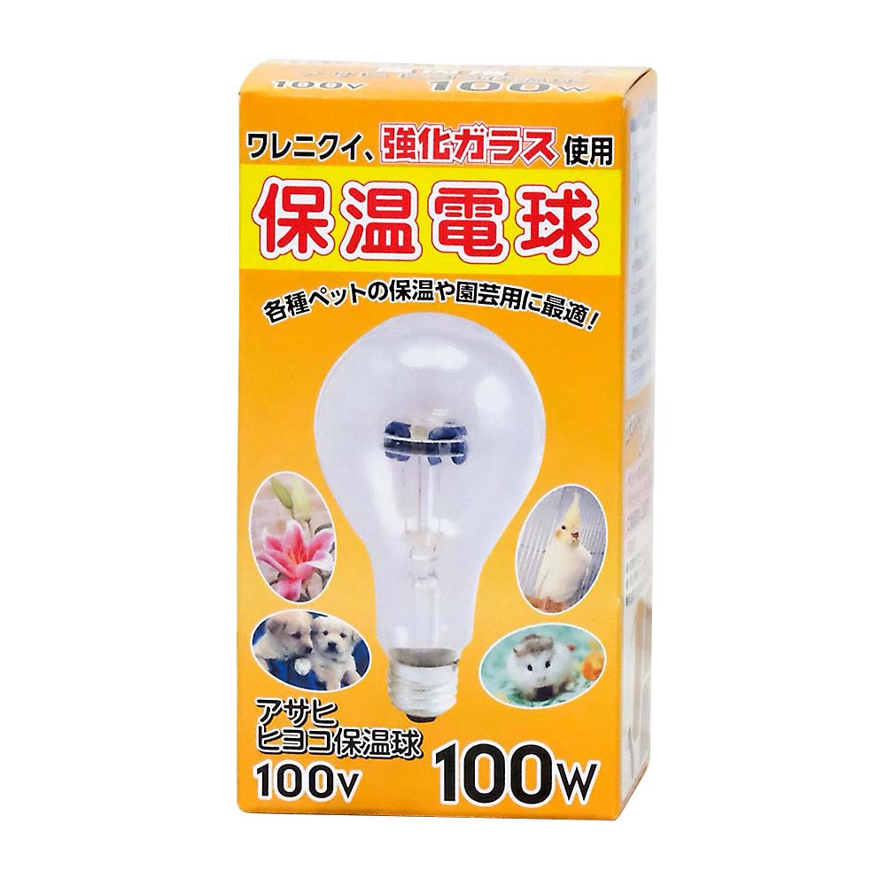 ヒヨコ保温球　１００Ｖ１００Ｗ