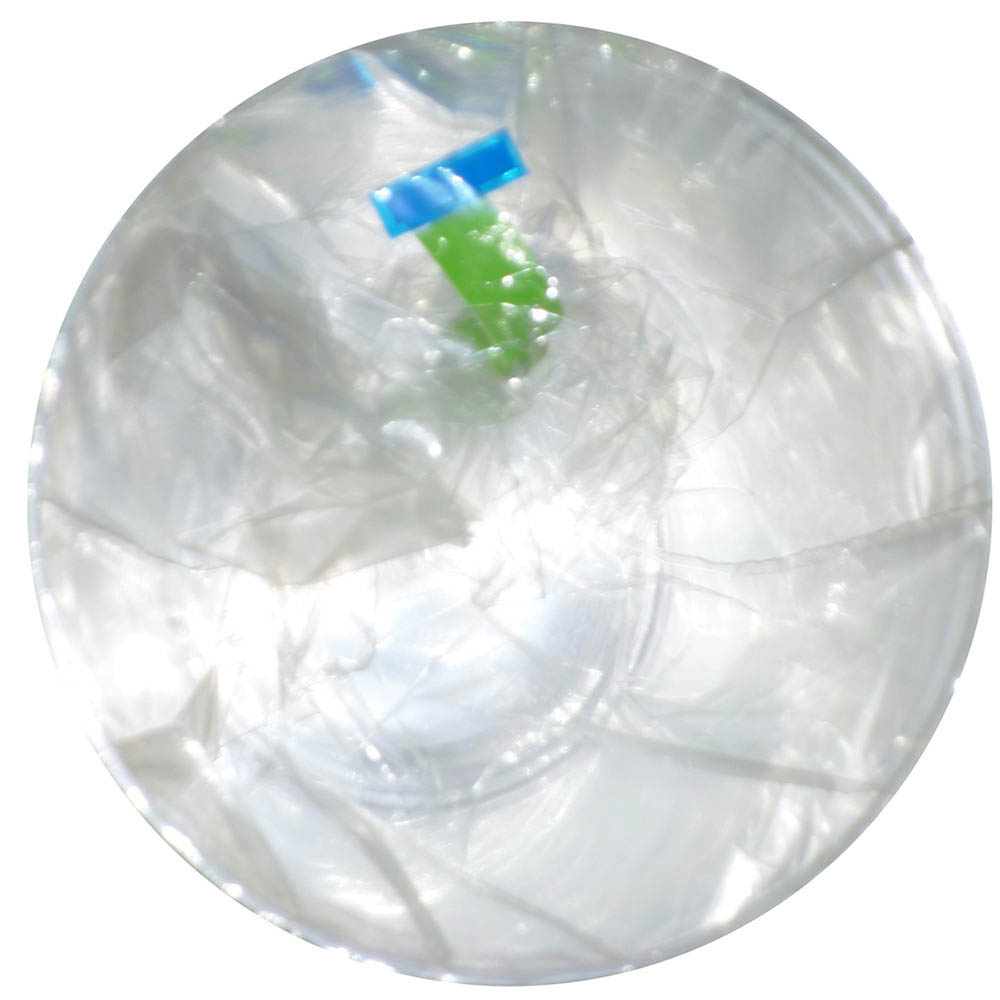 硬質プラスチックカップ　１０個　４３０ml