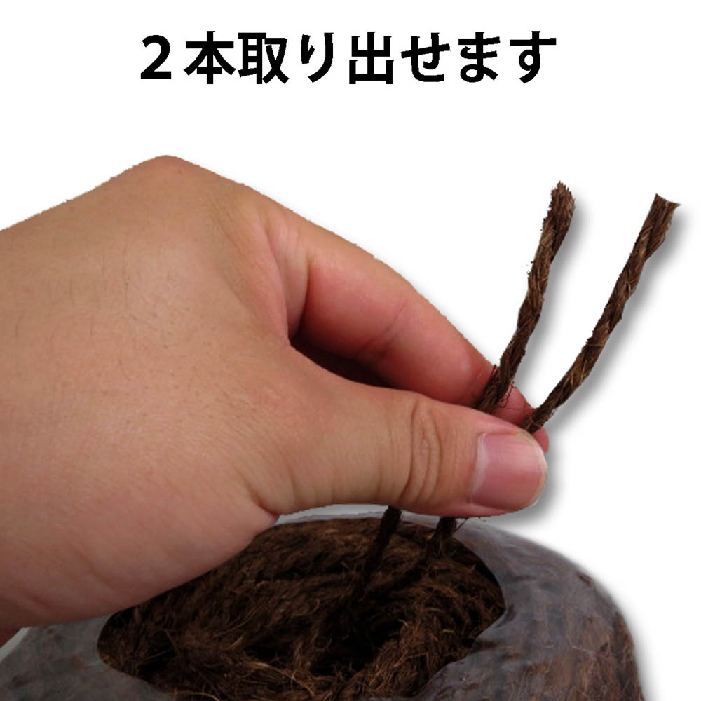 棕櫚縄 500m茶 2本出し