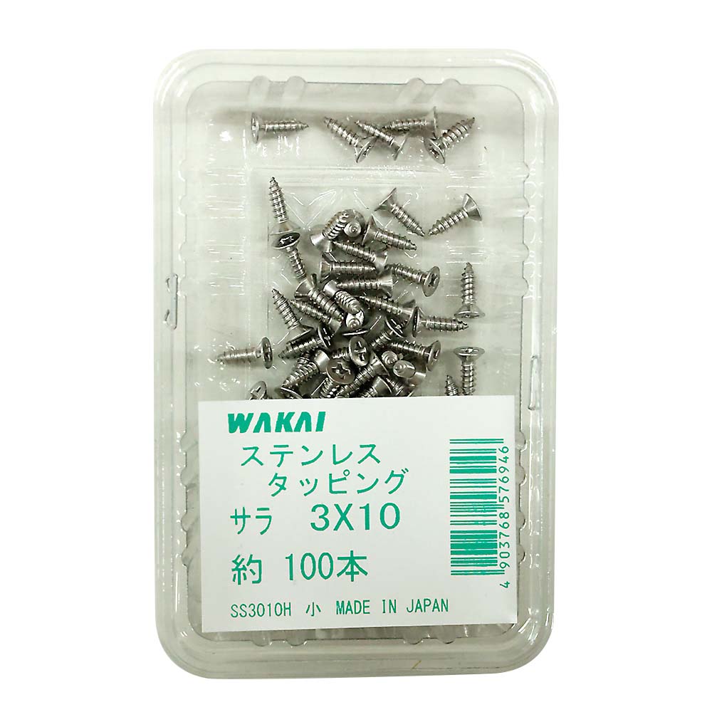 ステンレス皿タッピング　３×１０ｍｍ