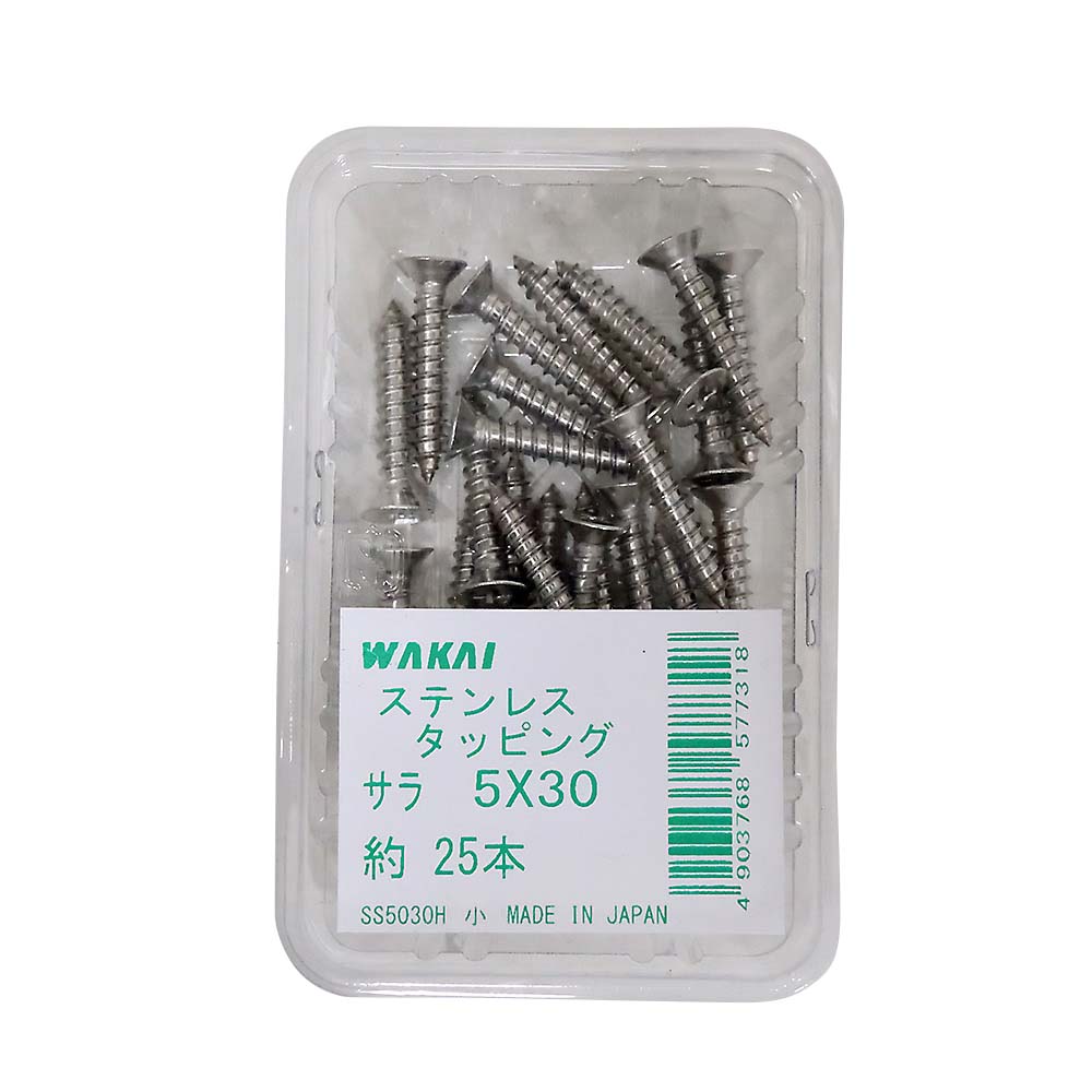 ステンレス皿タッピング　5x30mm 25本