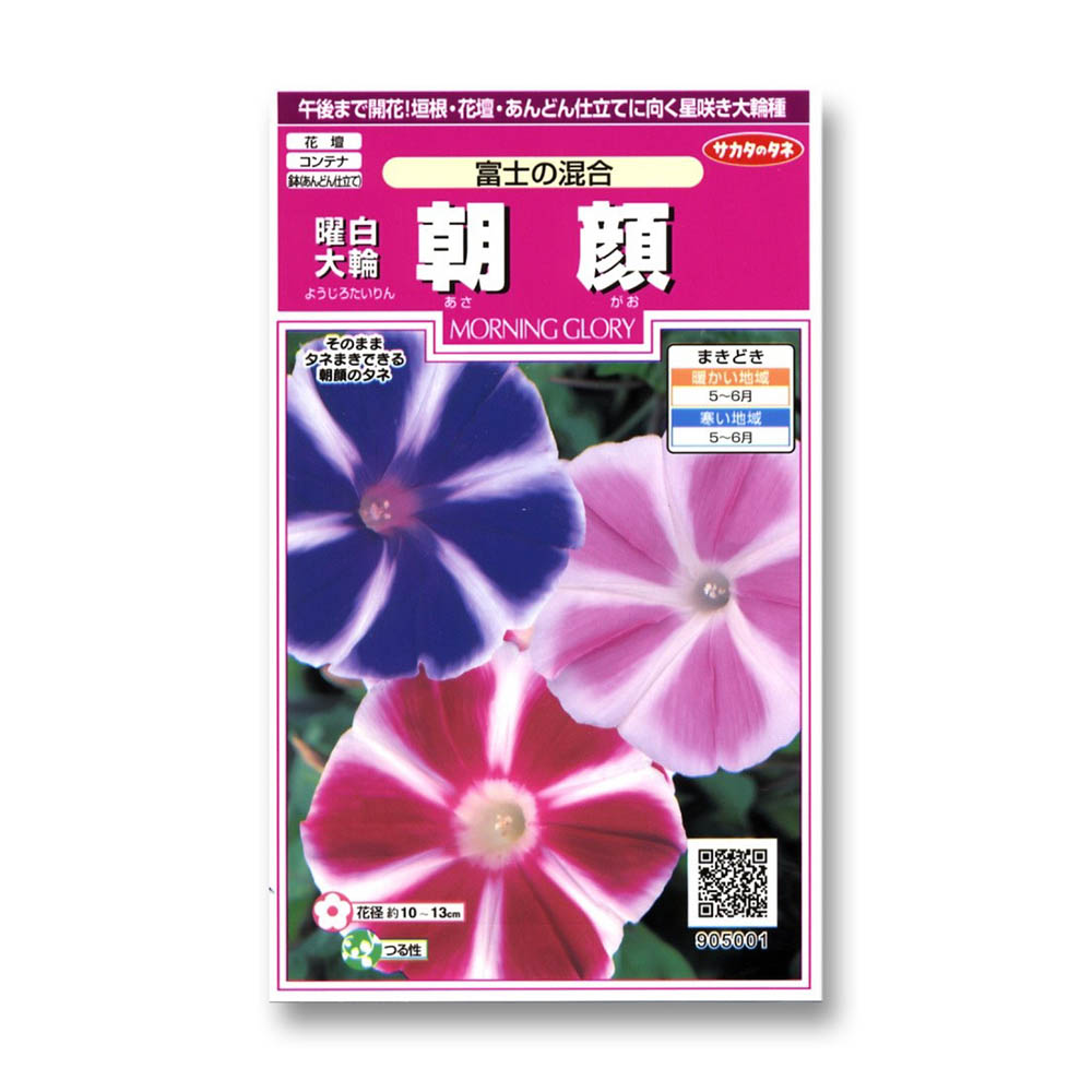 朝顔_曜白大輪朝顔_富士の混合　春まき