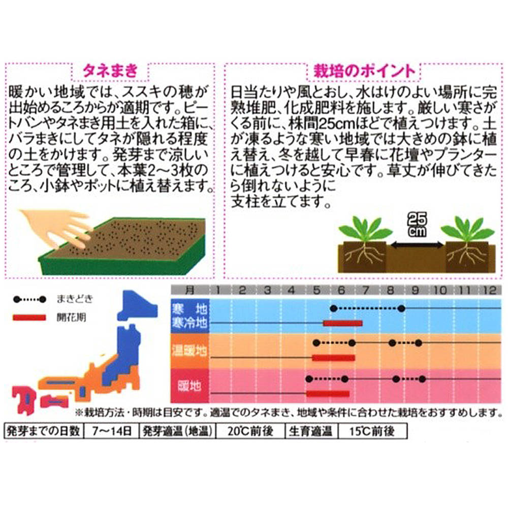 カンパニュラ_ メイ ミックス　春秋兼用