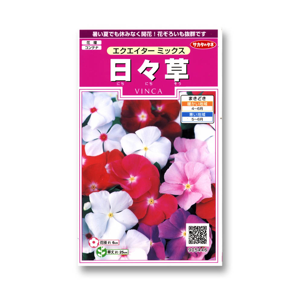日々草_エクエイターミックス　春秋兼用