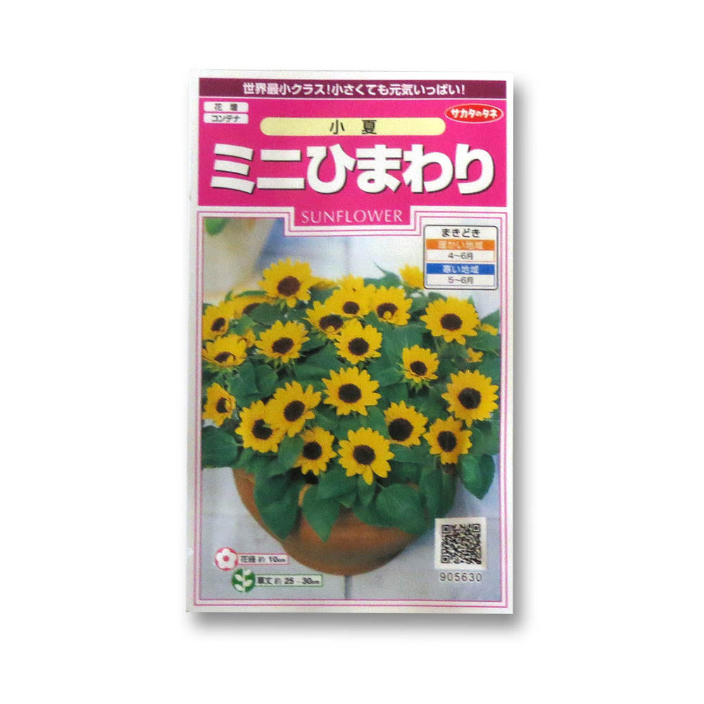 ひまわり_ミニひまわり_小夏　春秋兼用