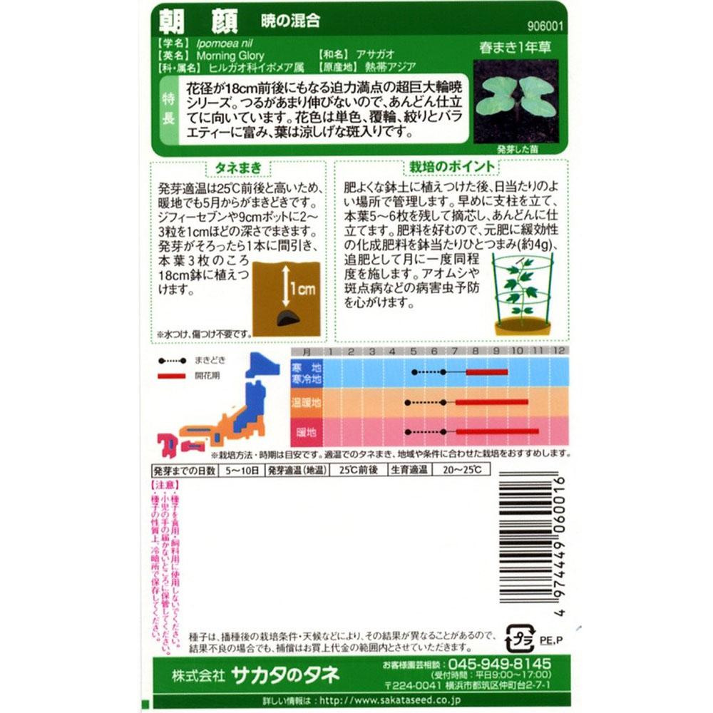 朝顔_暁の混合　春秋兼用