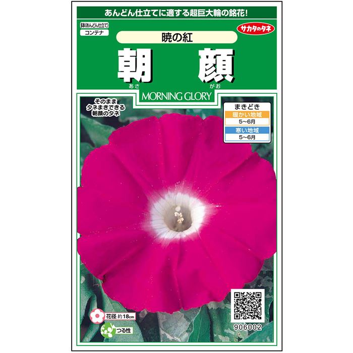 朝顔＿暁の紅　春秋兼用