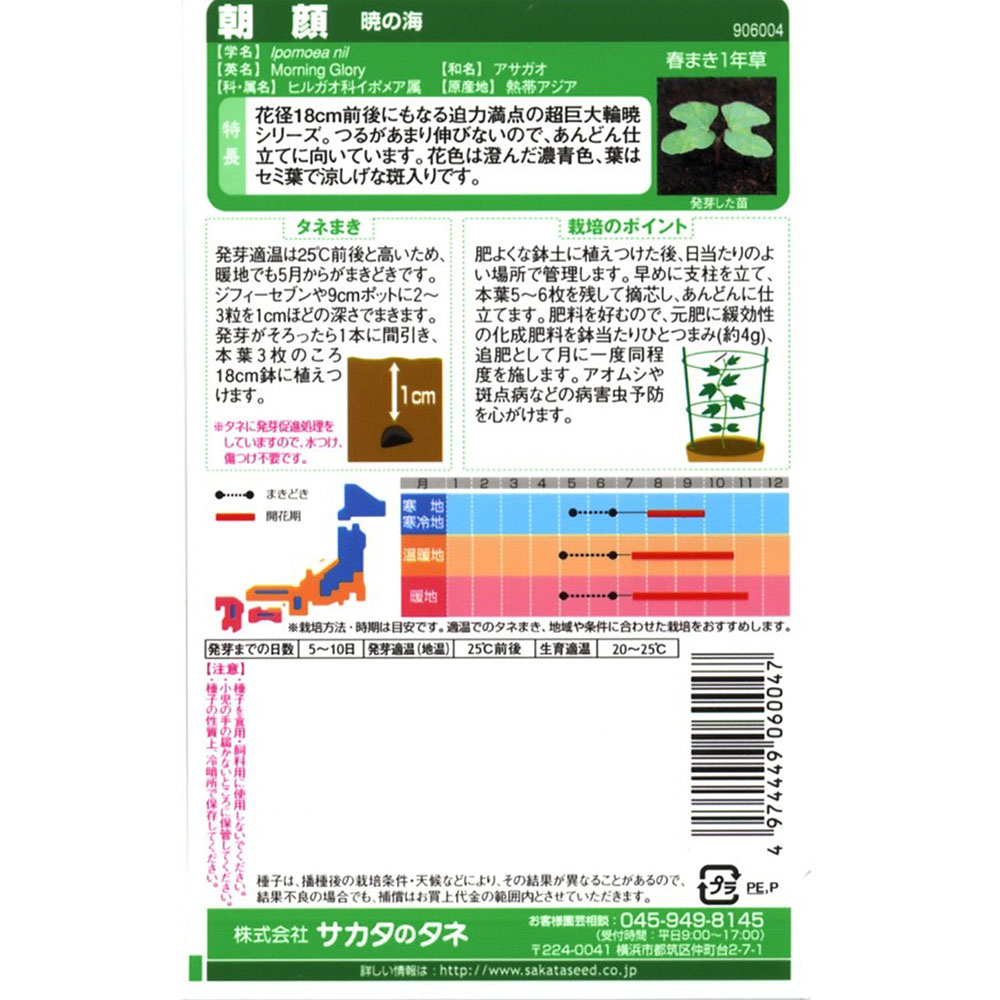 朝顔_暁の海　春秋兼用