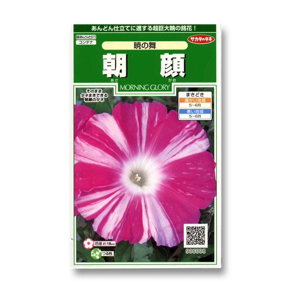 朝顔_暁の舞　春秋兼用