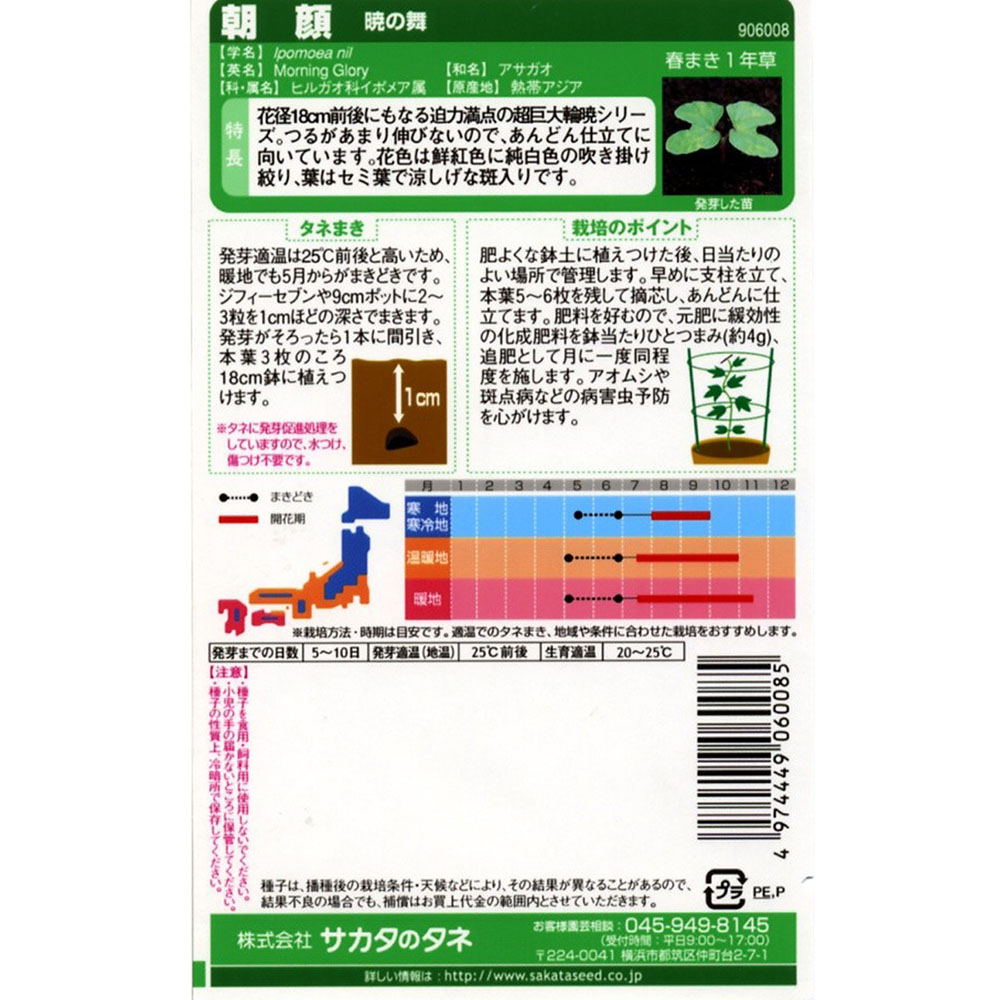 朝顔_暁の舞　春秋兼用