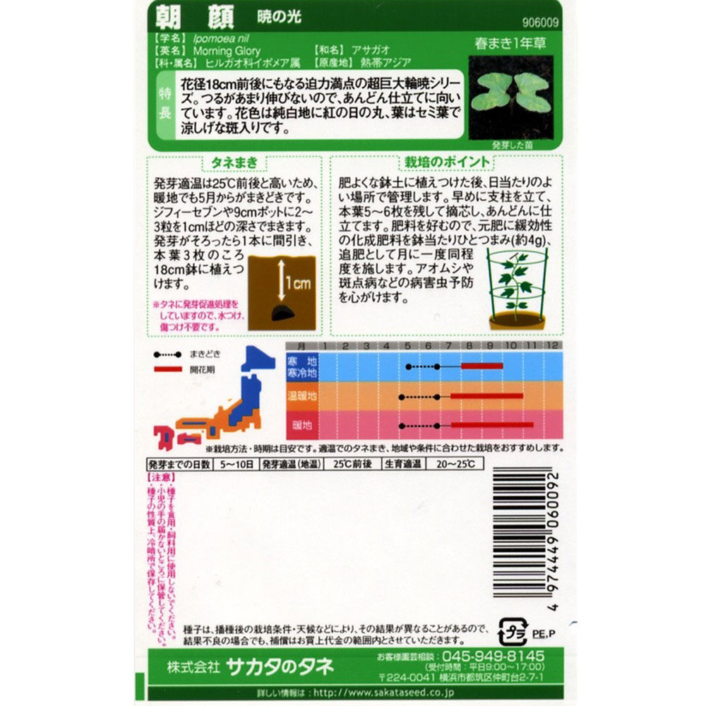 朝顔_暁の光　春秋兼用